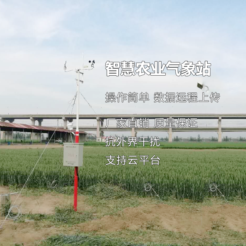 智慧農(nóng)業(yè)綜合氣象參數(shù)監(jiān)測(cè)站 雨量溫濕度光照大氣壓風(fēng)速風(fēng)向觀測(cè)